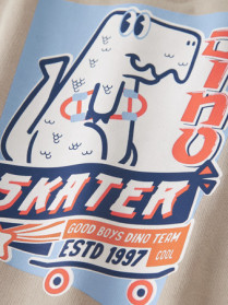 NAME IT Sweatshirt Vasha Peyote Skater Dino